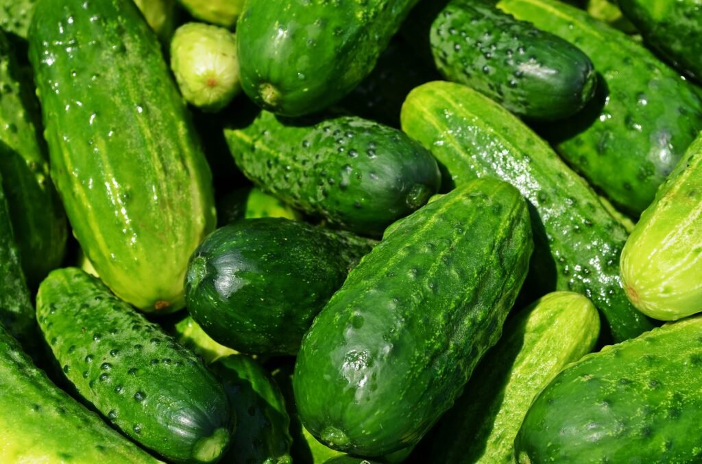 cucumbers-food