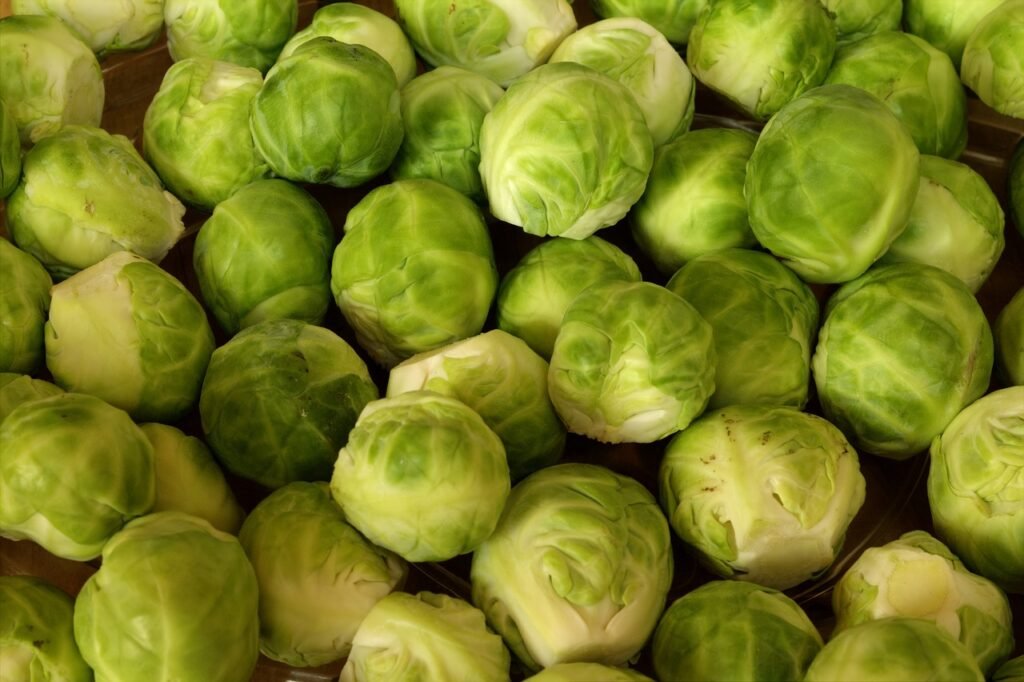 brussels-sprouts-vegetables