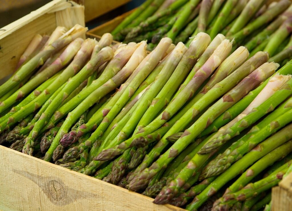 Asparagus-vegetables