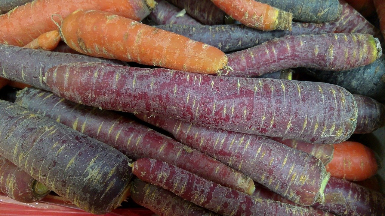 how long do purple carrots take to grow