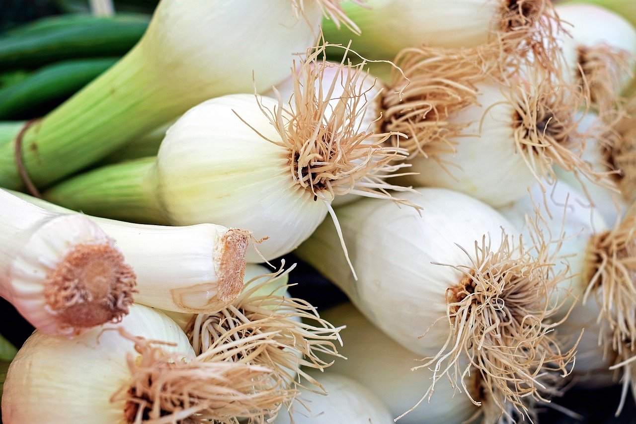 Surprising Spring Onion Storage Secrets: Fresh for Weeks!